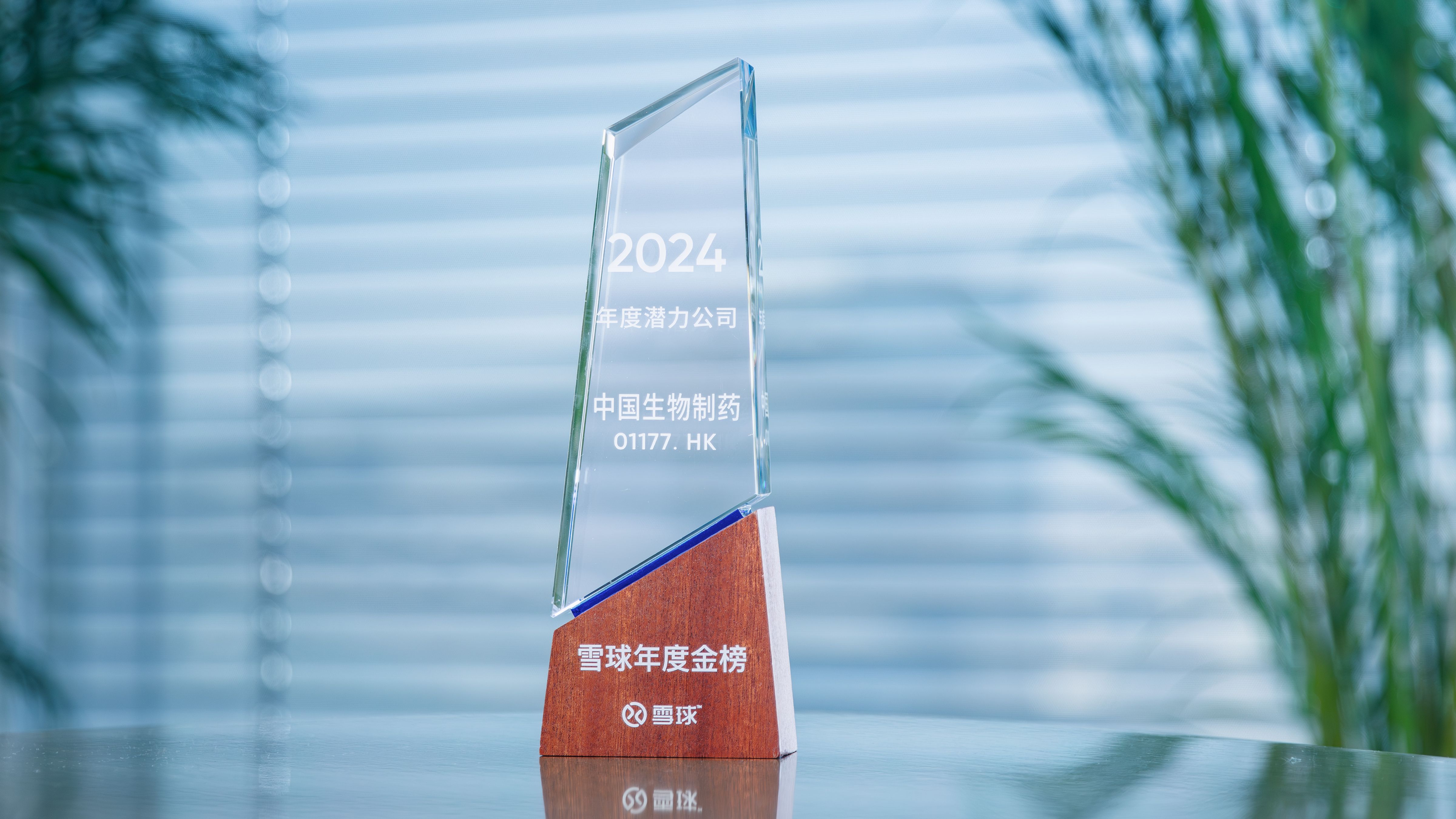 豪门国际