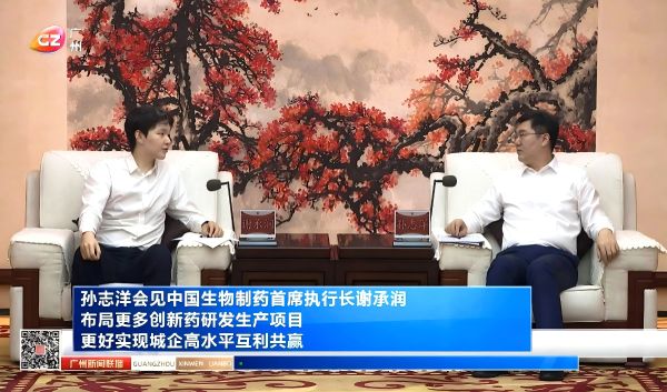 豪门国际